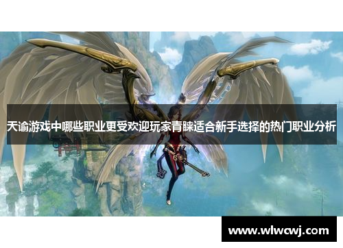 天谕游戏中哪些职业更受欢迎玩家青睐适合新手选择的热门职业分析